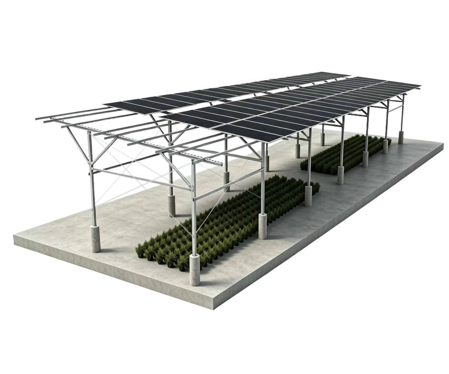 agrivoltaic mounting system category view