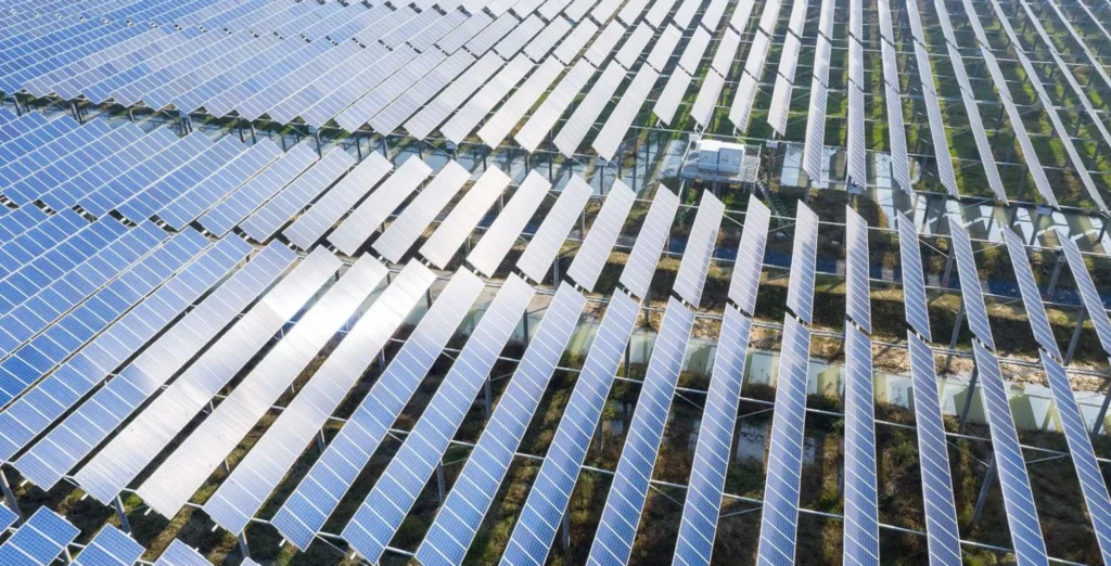 sidu zhaoan, fujian 200 mw fishery solar project