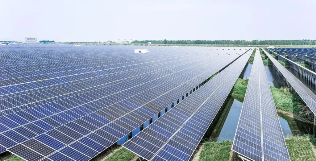 zhaoan sidu fujian 200 mw fishery solar project